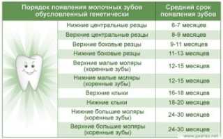 Когда прорезываются молочные зубы у детей
